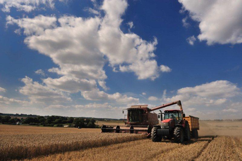 Harvest in Chipping